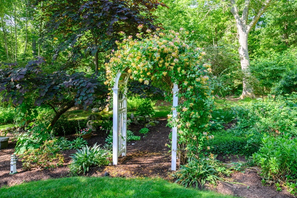 86 Telegraph Hill Road Marshfield, MA 02050 - Photo 33 of 42 a backyard of a house with plants and large trees
