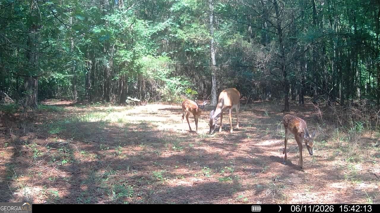 1 Bethesda Church Road Lexington, GA 30648 - Photo 48 of 78