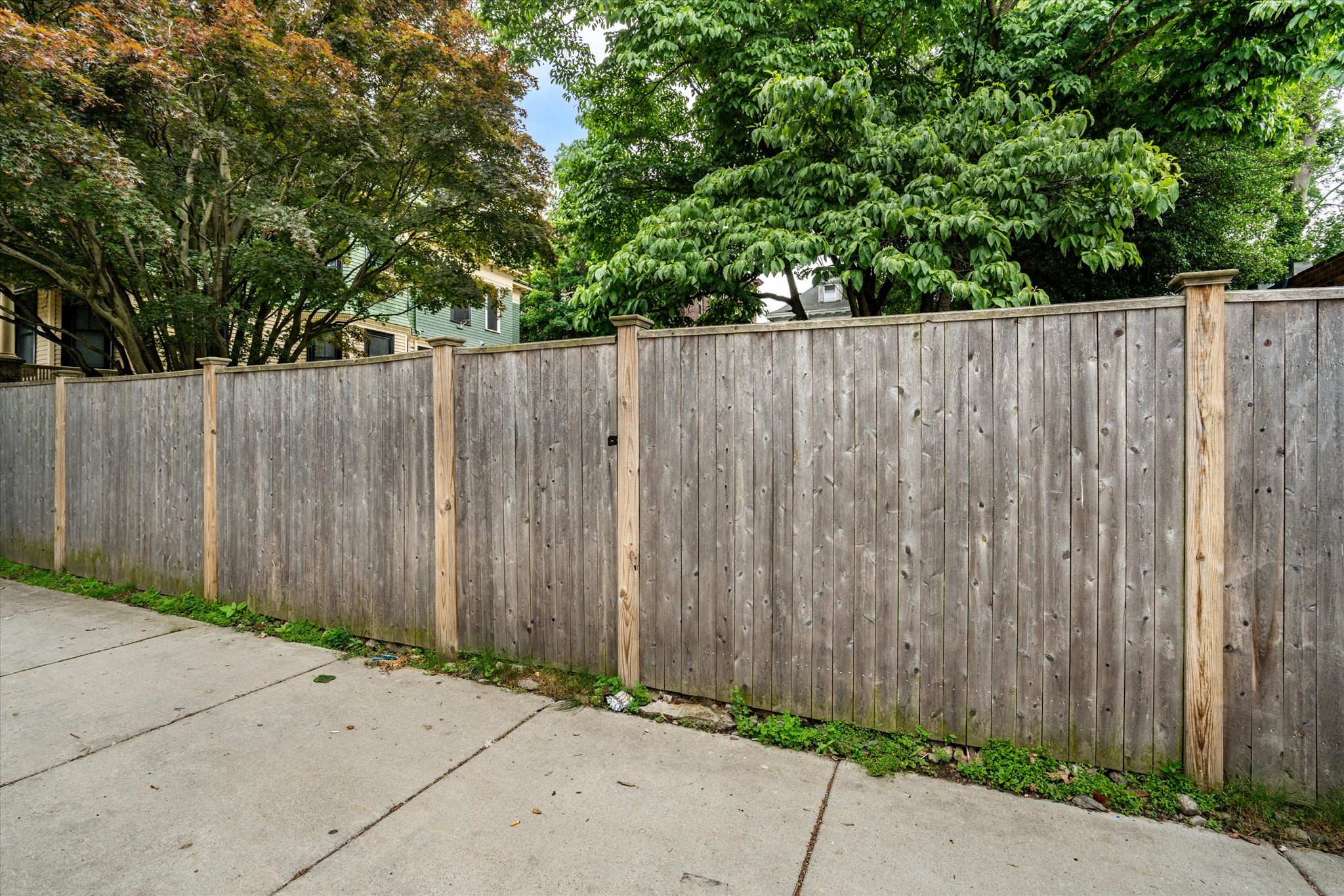 13 Homestead Street Boston, MA 02121 - Photo 30 of 30 Gallery Image 30