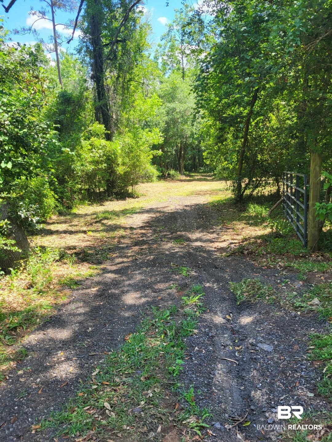 25597 Waterworld Road Robertsdale, AL 36567 - Photo 10 of 14 View of road