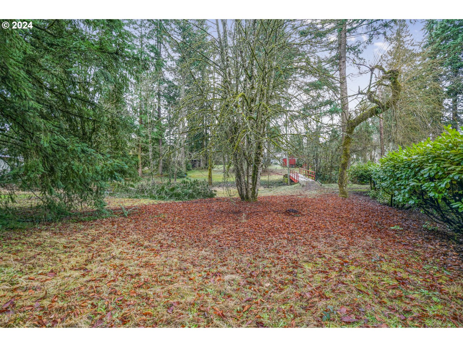 29015 Southeast Church Road Boring, OR 97009 - Photo 9 of 41 a view of a yard with a tree