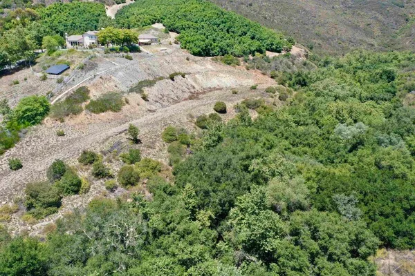an aerial view of a house with a yard and large trees