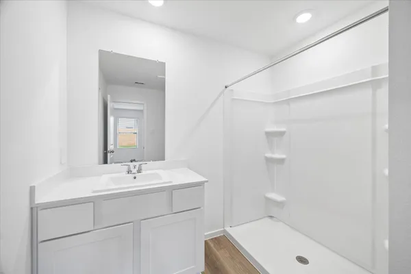 a bathroom with a sink a shower and a mirror