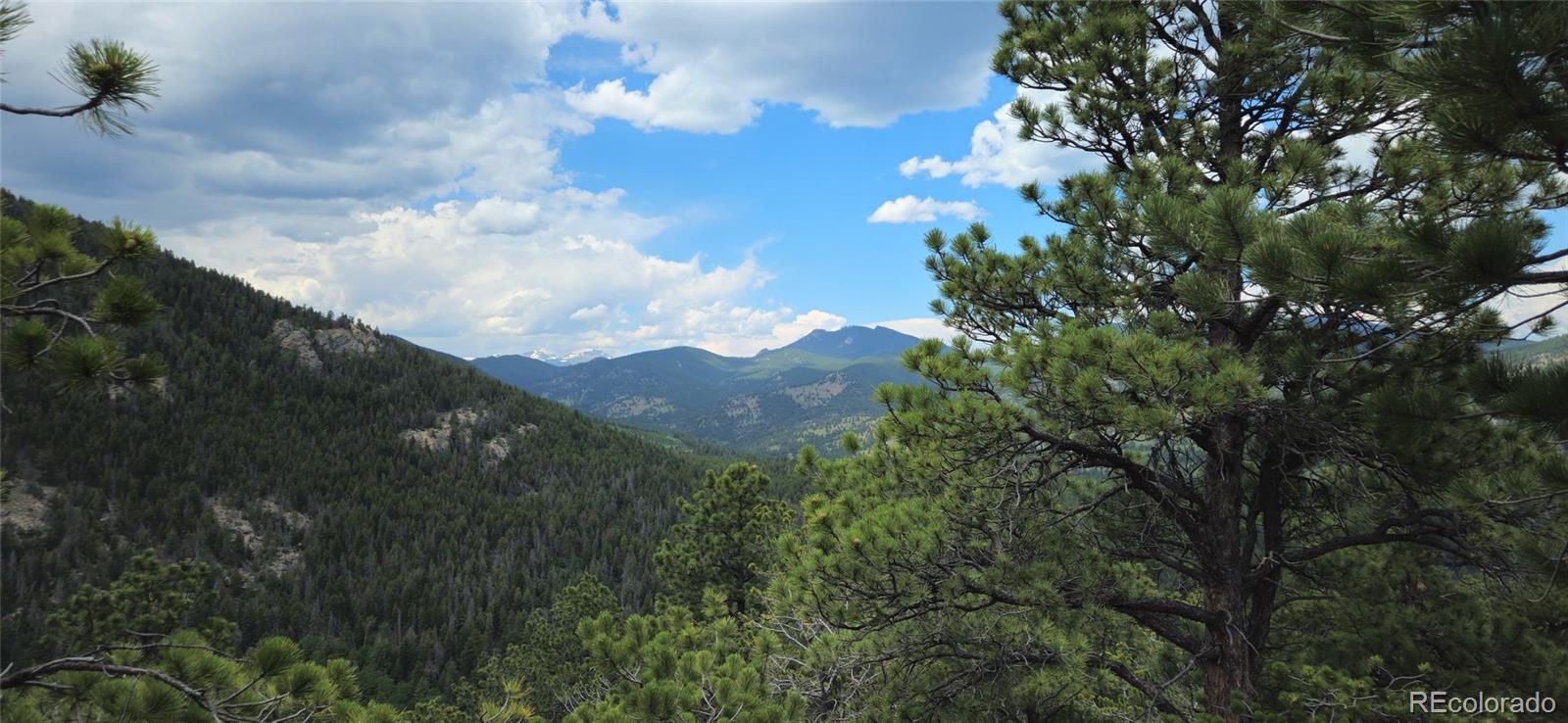 8077 Drew Hill Road Golden, CO 80403 - Photo 12 of 50 a view of a city with lush green forest