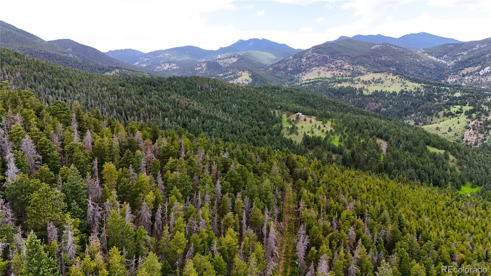 8077 Drew Hill Road Golden, CO 80403 - Photo 20 of 50 a view of a lush green hillside and a houses