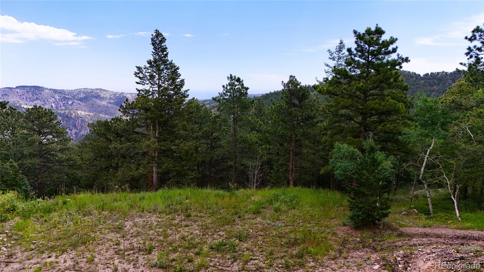 8077 Drew Hill Road Golden, CO 80403 - Photo 22 of 50 a view of a back yard