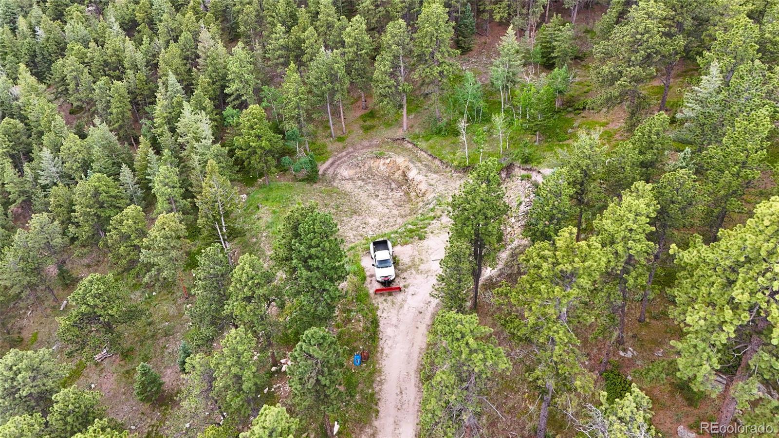 8077 Drew Hill Road Golden, CO 80403 - Photo 24 of 50 a partial view of a forest with large trees