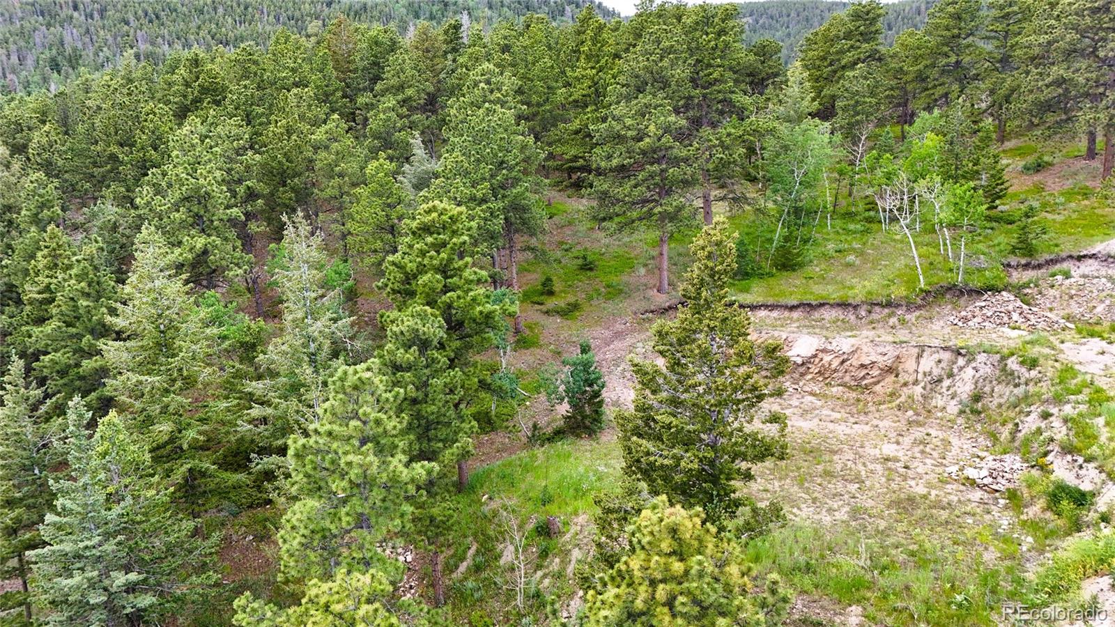 8077 Drew Hill Road Golden, CO 80403 - Photo 27 of 50 a view of a yard with plants and a small yard