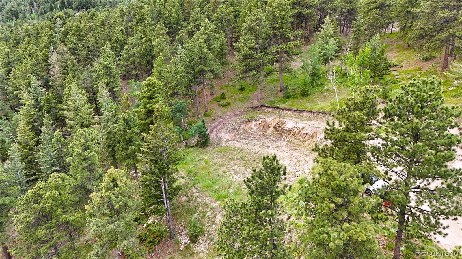8077 Drew Hill Road Golden, CO 80403 - Photo 28 of 50 a view of a yard with plants and tree