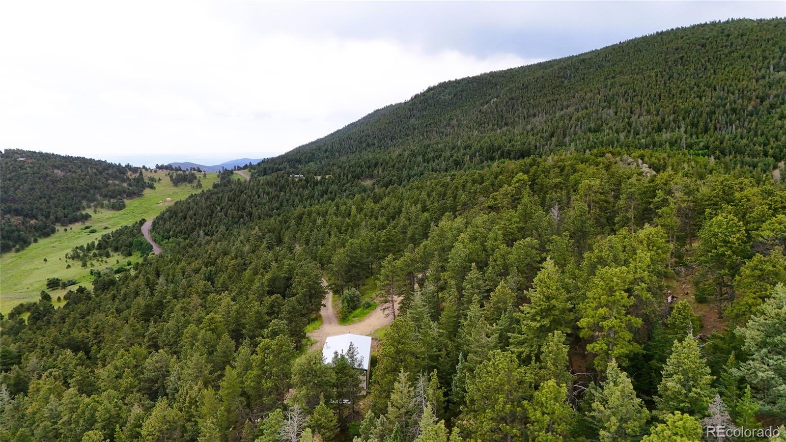 8077 Drew Hill Road Golden, CO 80403 - Photo 35 of 50 a view of a lush green forest with lots of trees