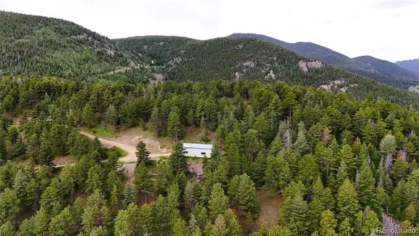 a view of a park with trees