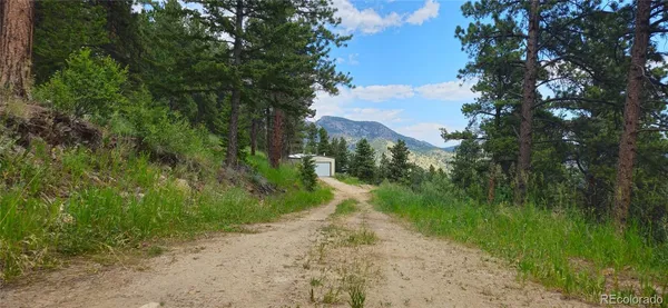 a view of a road with a yard