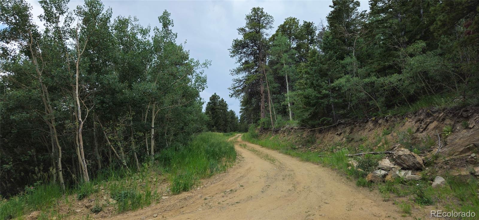 8077 Drew Hill Road Golden, CO 80403 - Photo 10 of 50