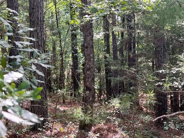 $15,900 | 13-11 Arbor Lane, McCormick, SC 29835