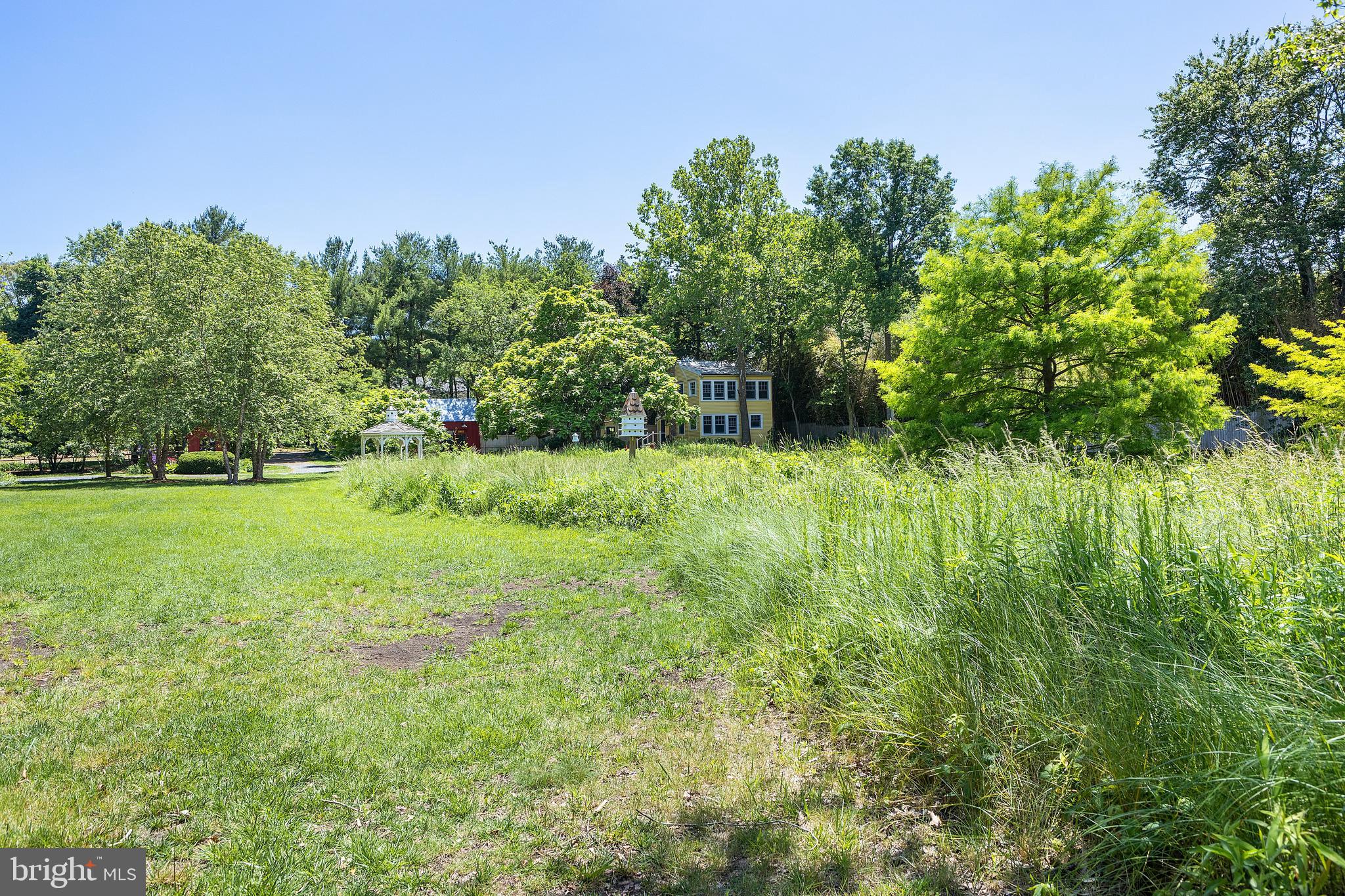 114 Front Street Crumpton, MD 21628 - Photo 26 of 66 Natural Landscape to the River