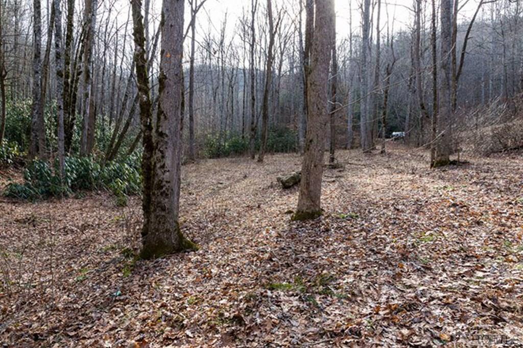 1963 Shook Cove Road Tuckasegee, NC 28783 - Photo 14 of 25 Gallery Image 14