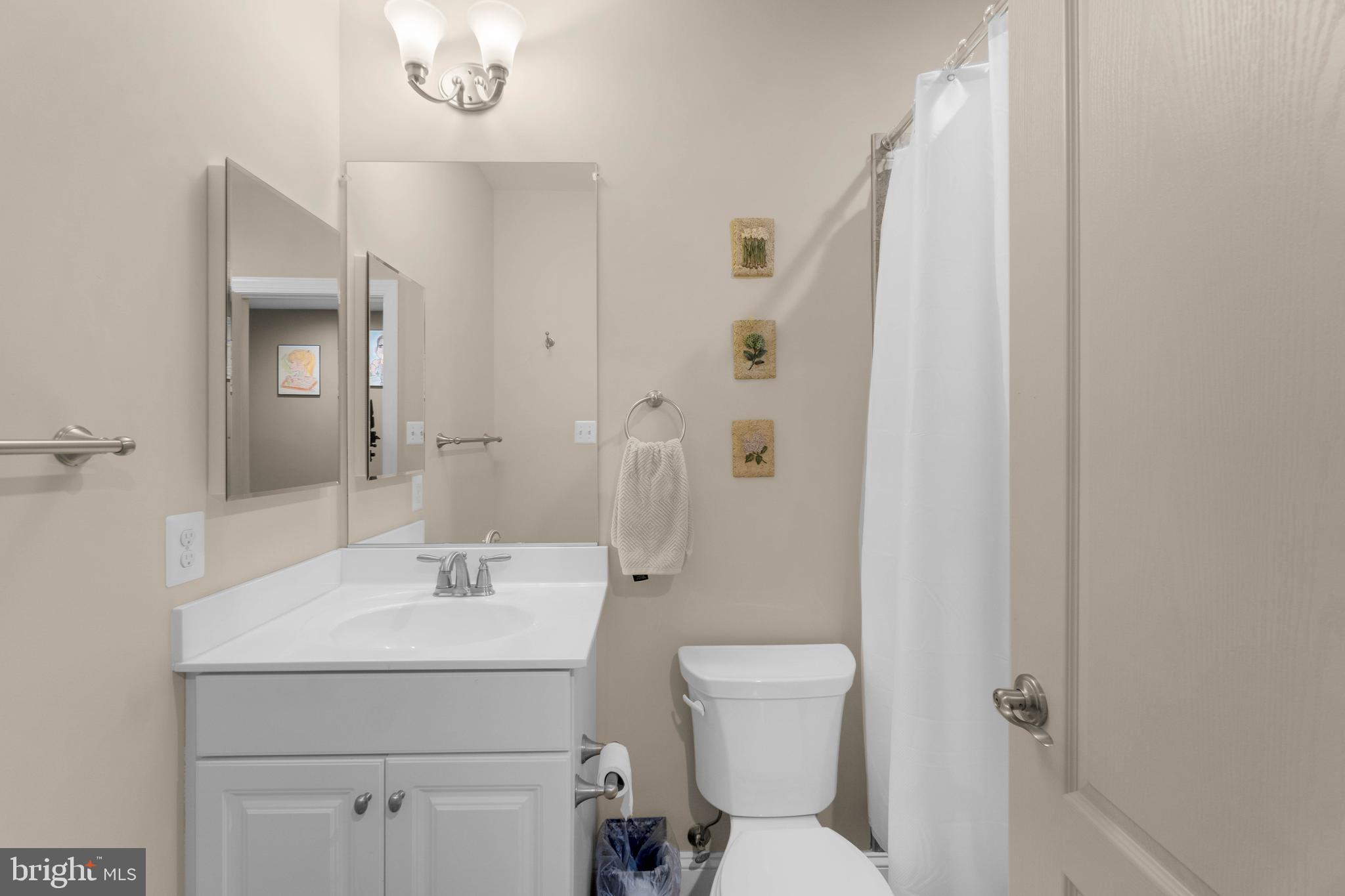 440 Irish Rebel Road Westminster, MD 21157 - Photo 44 of 59 Lower level bath