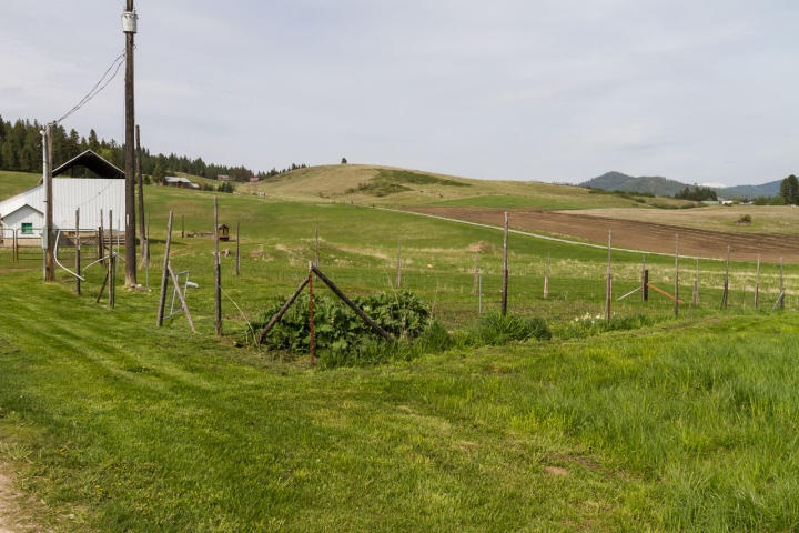 2525 Highline Road Chewelah, WA 99109 - Photo 14 of 18 Gallery Image 14