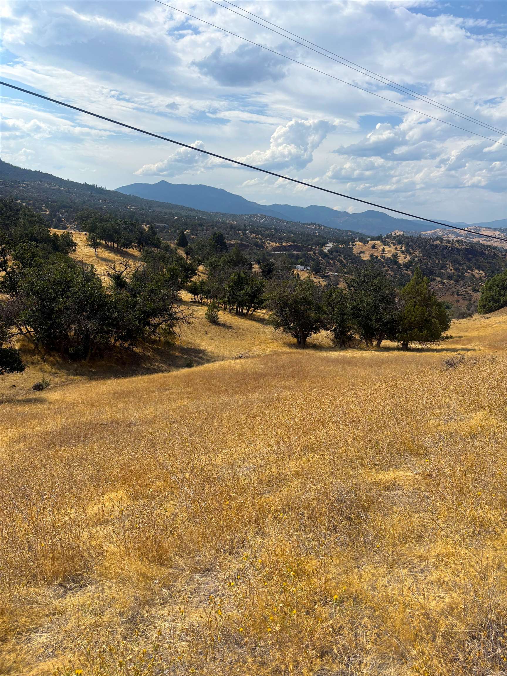 Lot 23 Whitepine Road Hornbrook, CA 96044 - Photo 5 of 8 Gallery Image 5