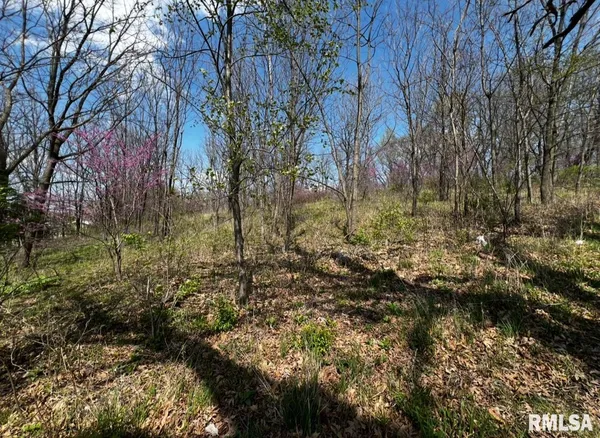 $30,000 | Lot 201 James St Port, Port Byron, IL 61275