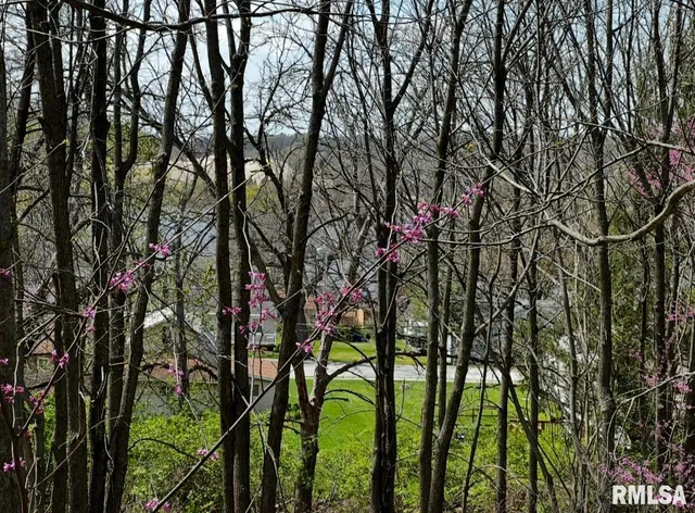 a backyard of a house with lots of trees