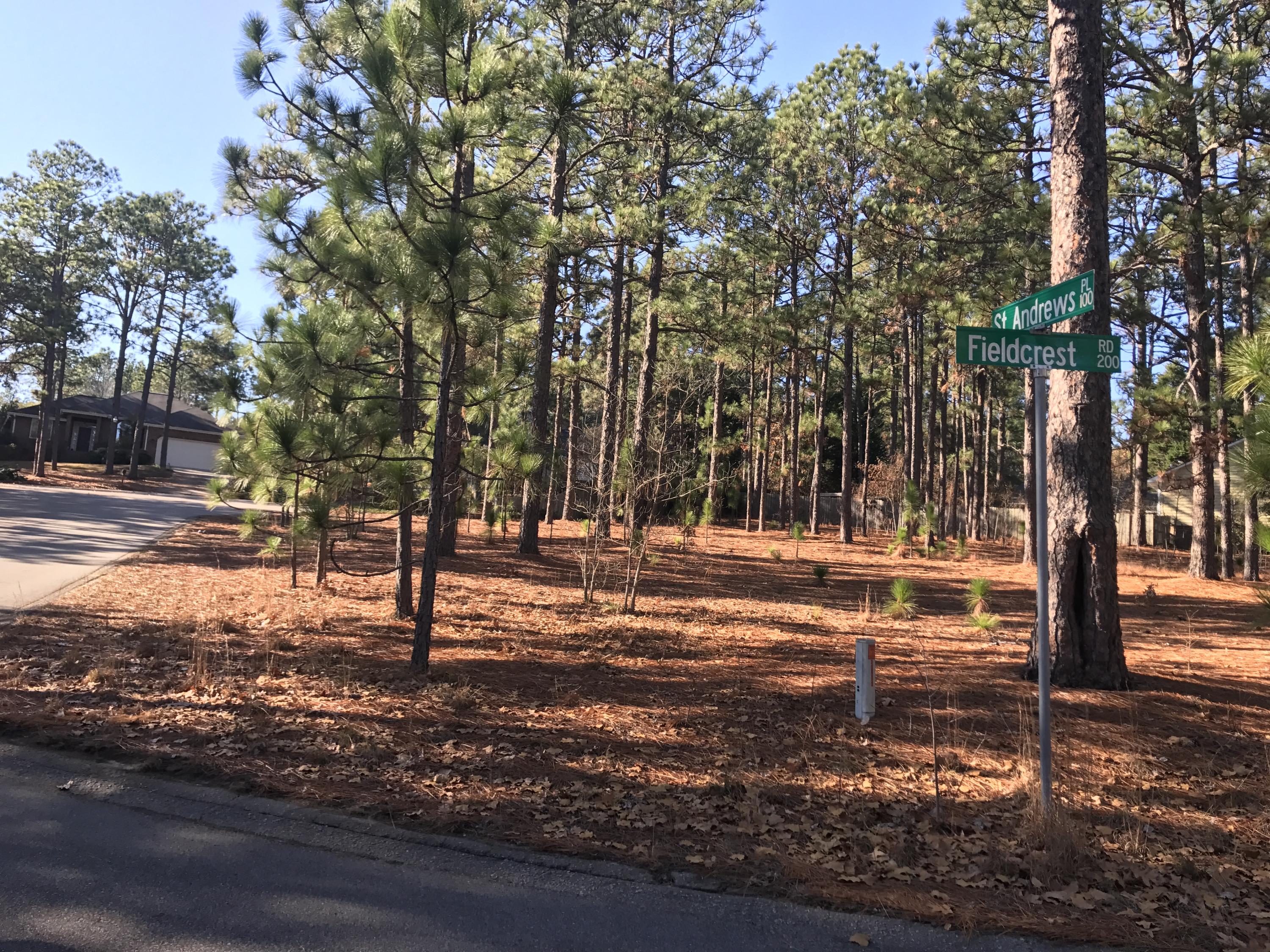 Tbd Fieldcrest Road Southern Pines, NC 28387 - Photo 5 of 6 Tbd Fieldcrest
