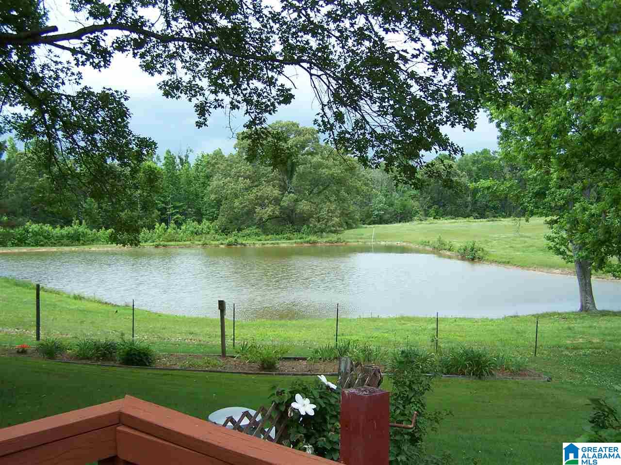 1595 Robin Hill Road Oneonta, AL 35121 - Photo 18 of 48