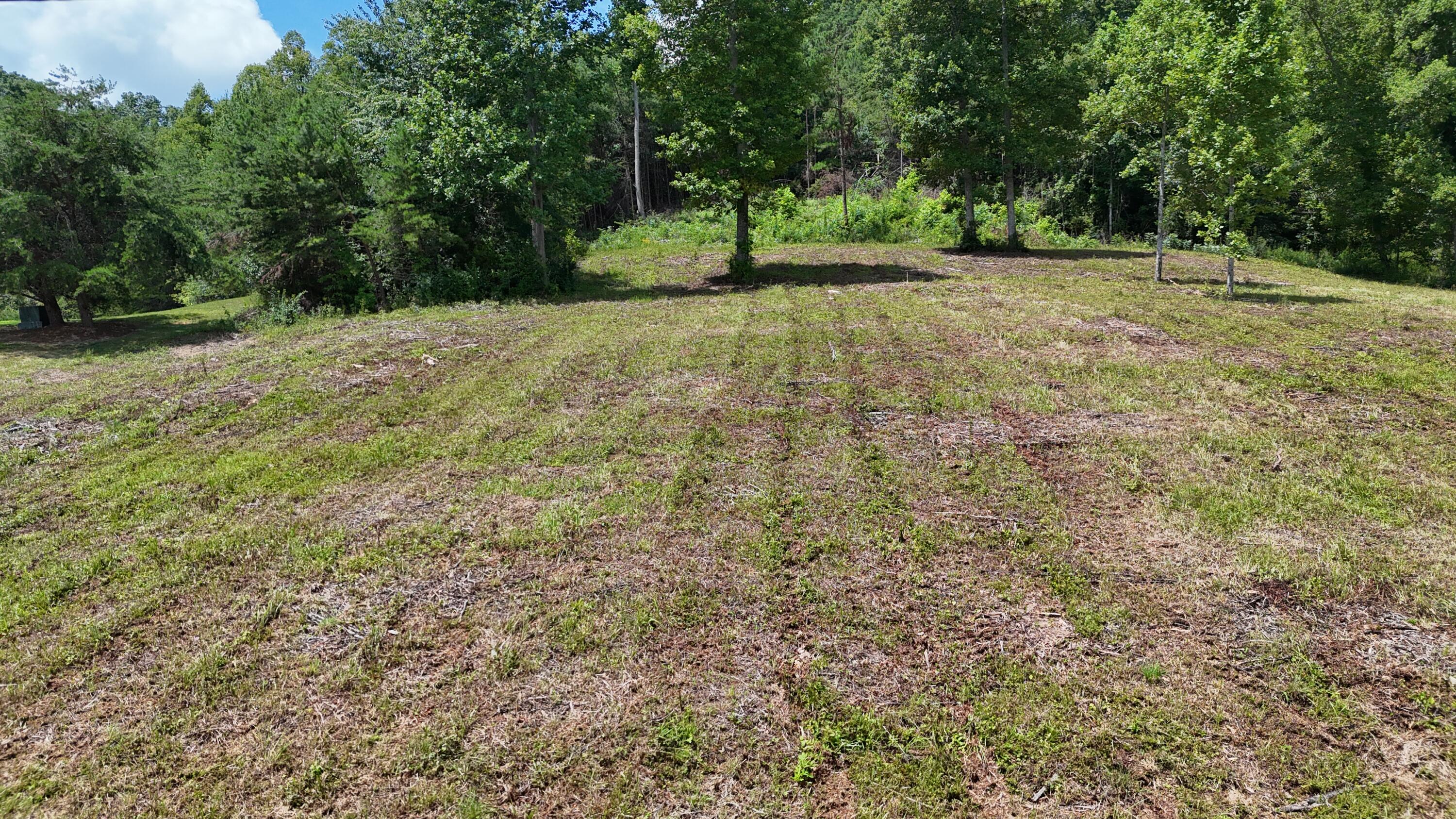 999 Lick Fork Road London, KY 40741 - Photo 19 of 21 DJI_20260717124543_0295_D