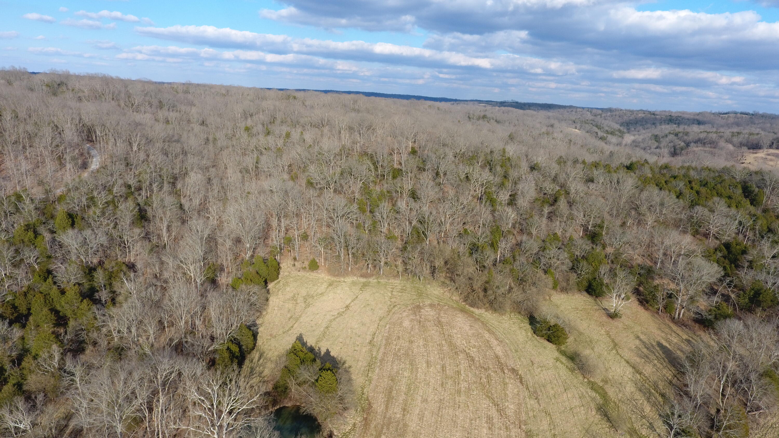 0 Point Of Rock Road Owenton, KY 40359 - Photo 13 of 20 Gallery Image 13