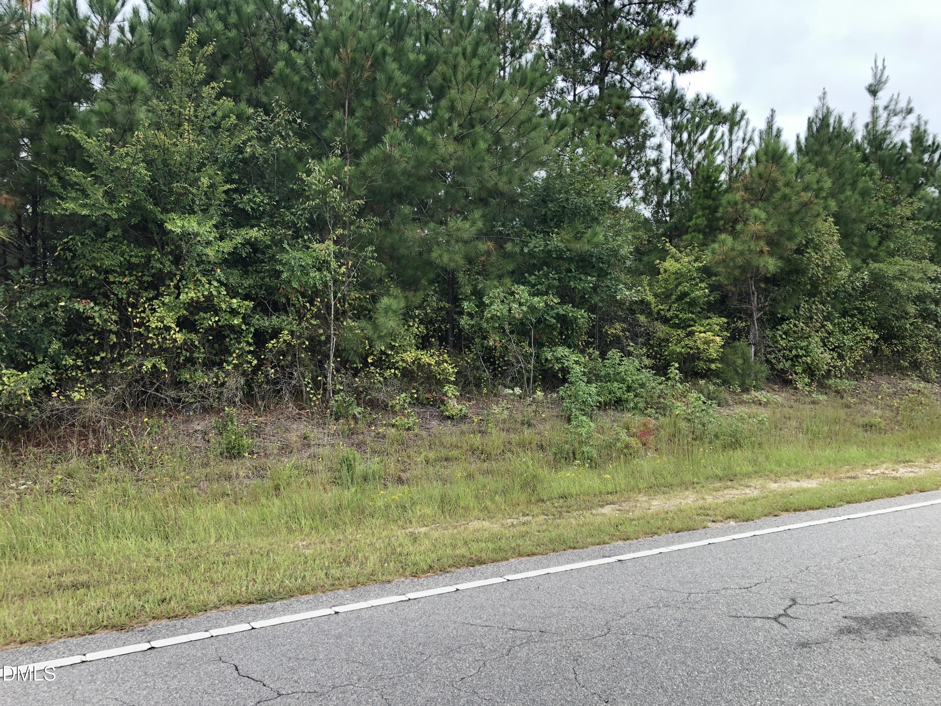 Lot 1 Brewer Road Louisburg, NC 27549 - Photo 2 of 2 IMG_2761