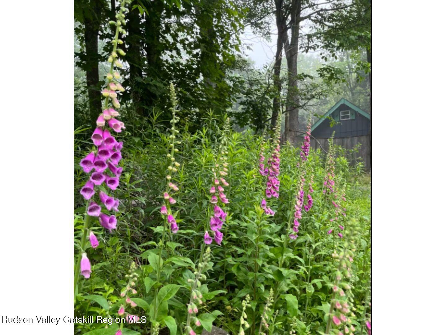 1901 Hawleys-Downsville Road Hamden, NY 13782 - Photo 32 of 38 32