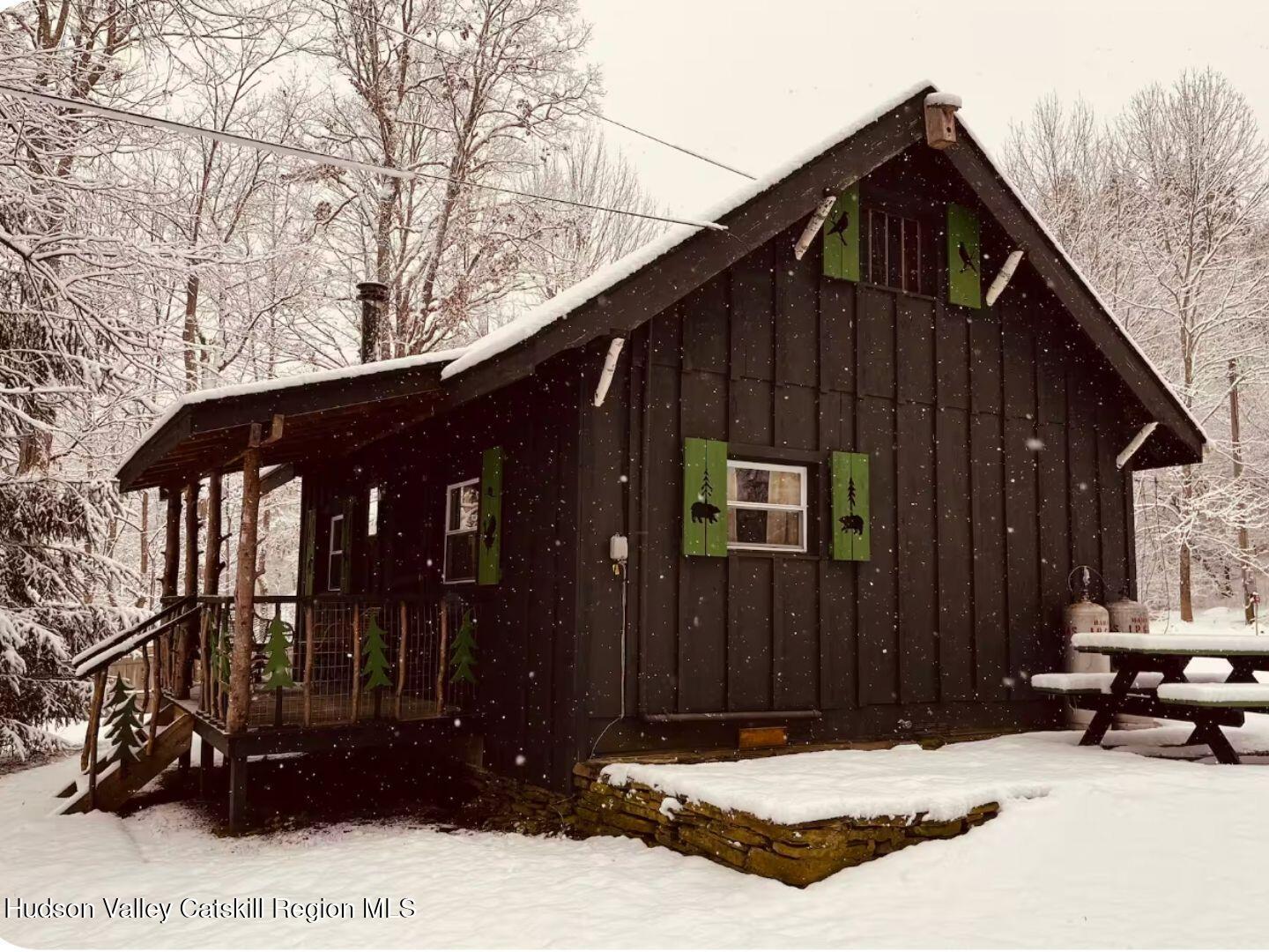 1901 Hawleys-Downsville Road Hamden, NY 13782 - Photo 4 of 38 4