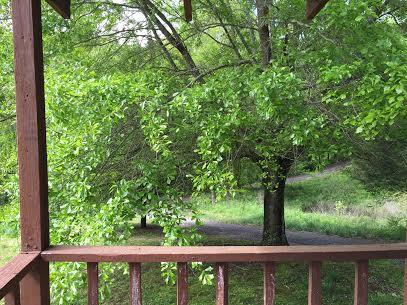 247 Henry Road Dunlap, TN 37327 - Photo 7 of 11 Henry porch view