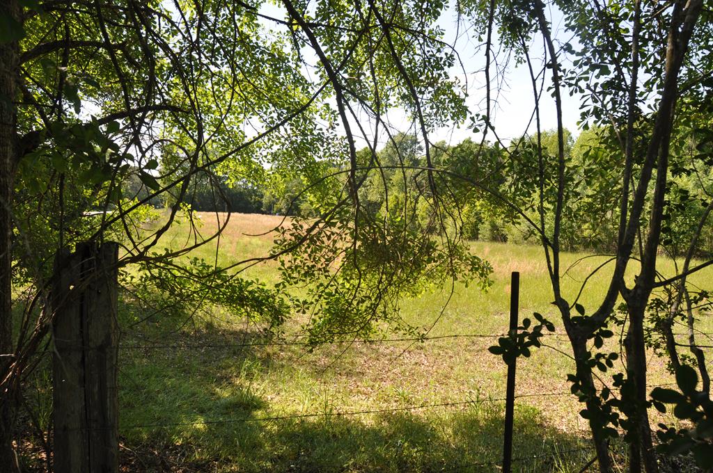 910 Holley Mill Road Samson, AL 36477 - Photo 56 of 58