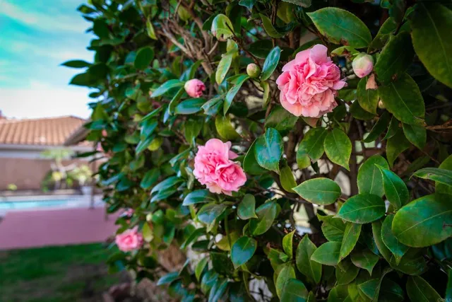 $1,150,000 | 17417 Plaza Sonada, San Diego, CA 92128