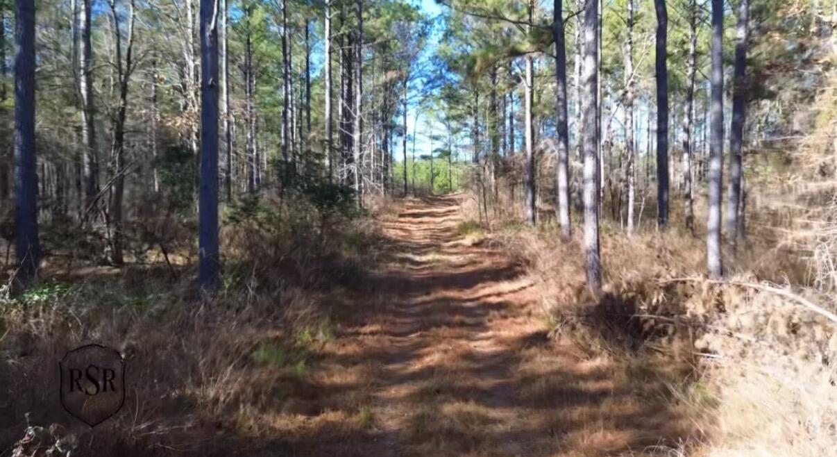 0 L R L R White Road McCormick, SC 29835 - Photo 2 of 7 IMG_4789