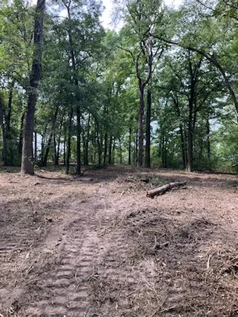a view of outdoor space with trees