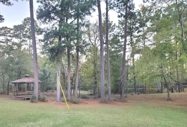 a view of a yard in front of the house