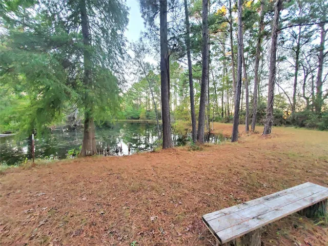 a view of a backyard with large trees