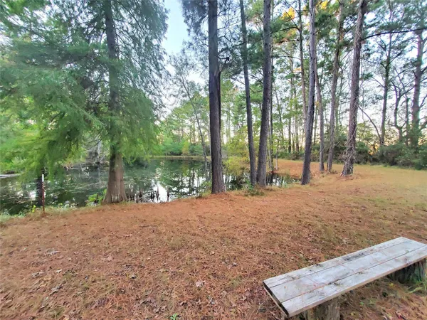 a view of a backyard with large trees