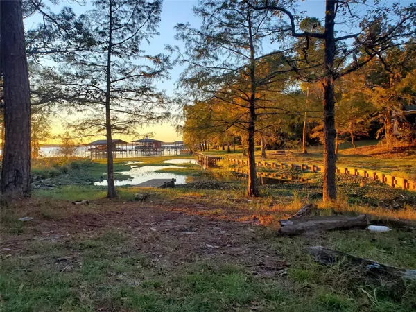 a view of a yard with a tree