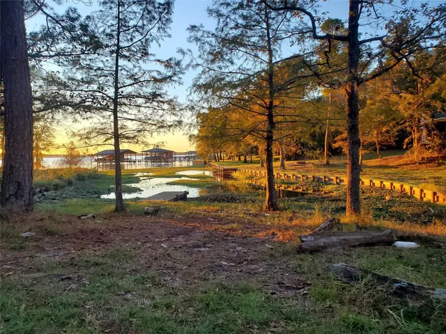 a view of a yard with a tree