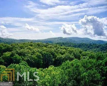 a view of a lots of trees and valleys