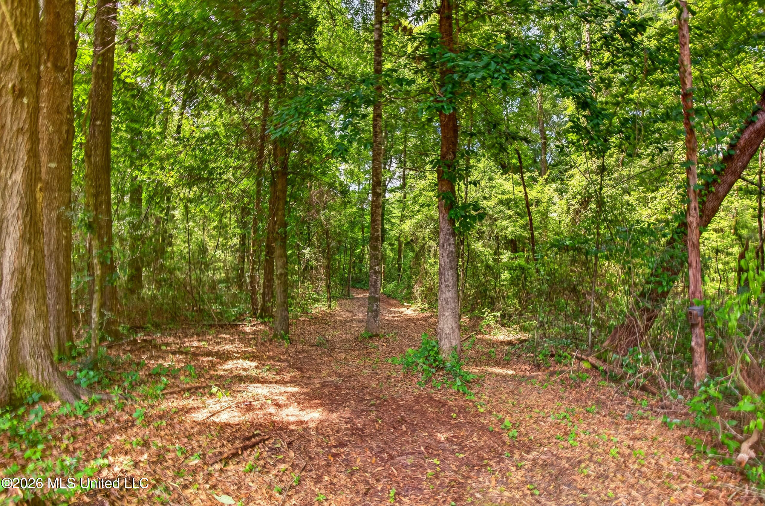 78 Game Reserve Road Columbia, MS 39429 - Photo 60 of 83 78GamerReserveRd.-52
