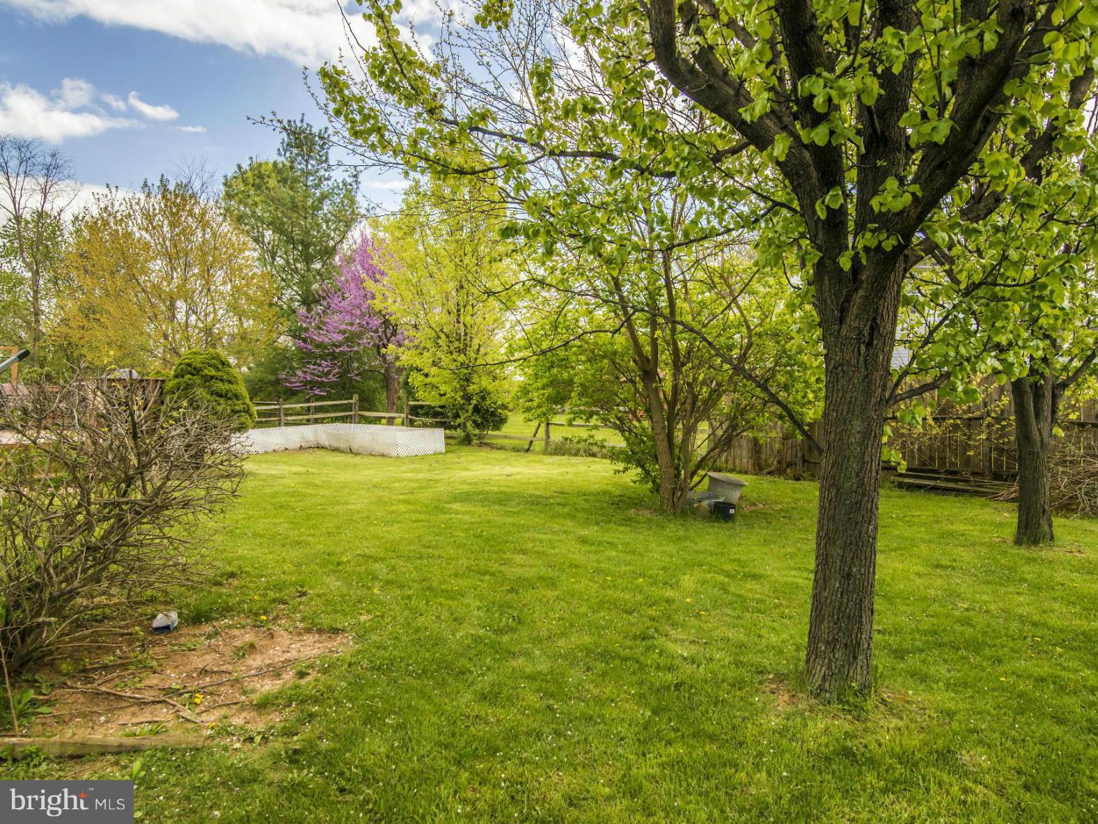 607 Angelwing Lane Frederick, MD 21703 - Photo 30 of 30 A Yard for All Seasons!