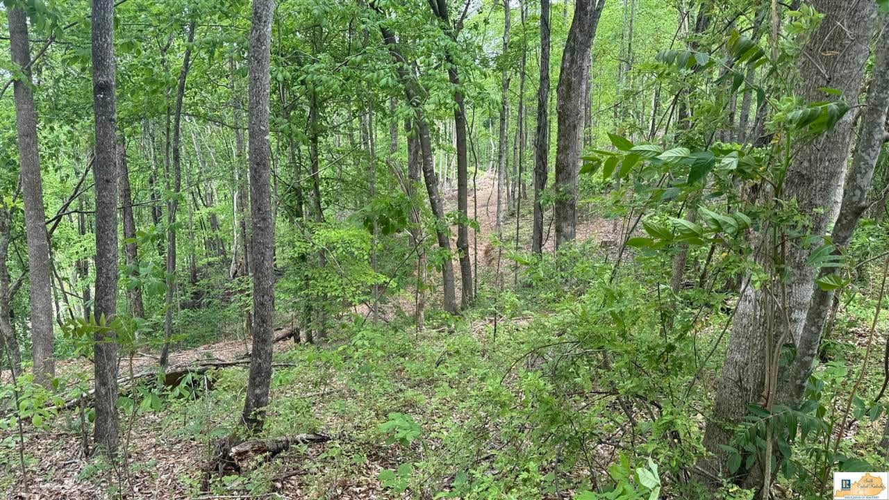 0 Black Beard Road Edmonton, KY 42129 - Photo 24 of 44 Gallery Image 24