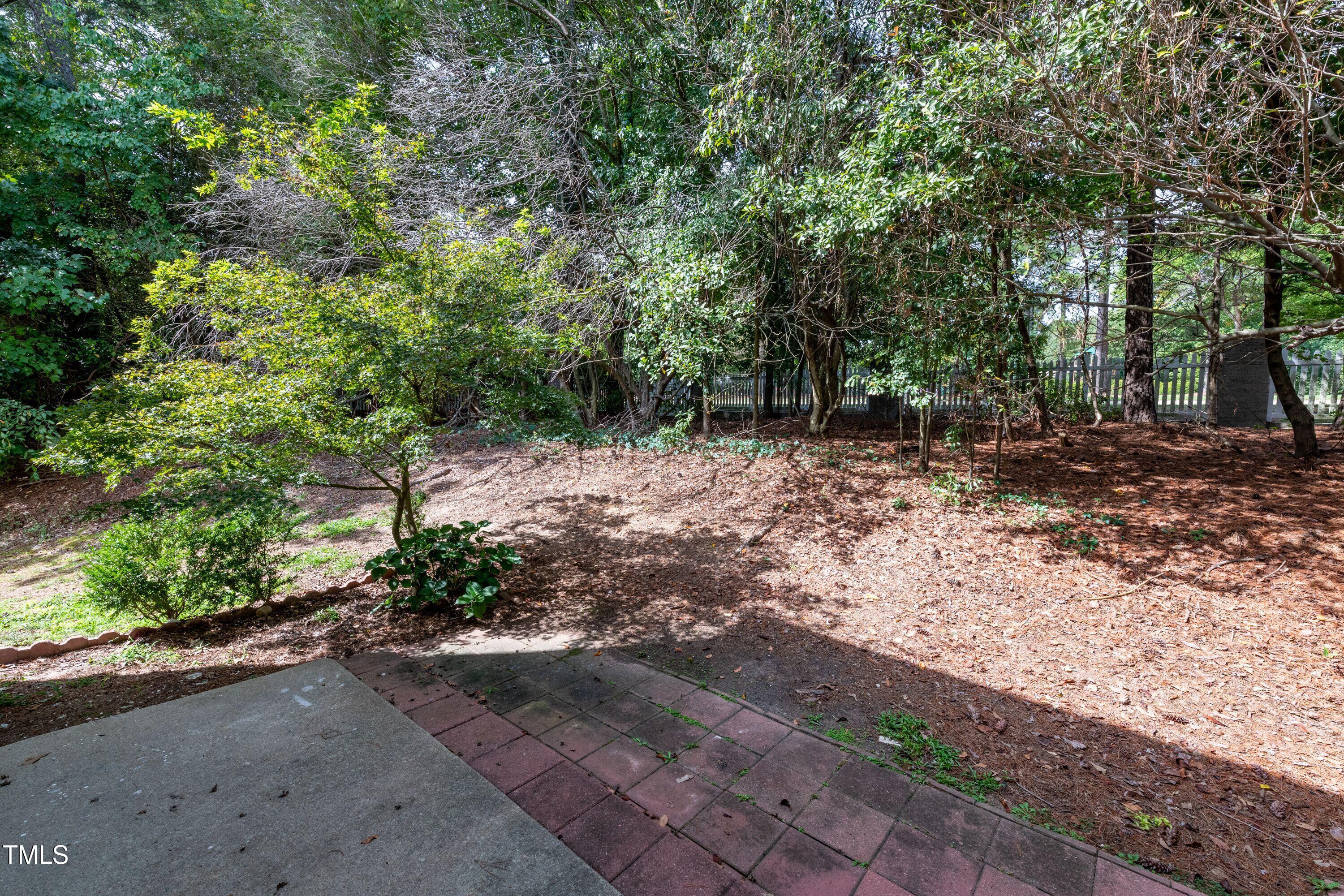 2434 Condor Court Raleigh, NC 27615 - Photo 19 of 21 a view of a dirt road with trees in the background