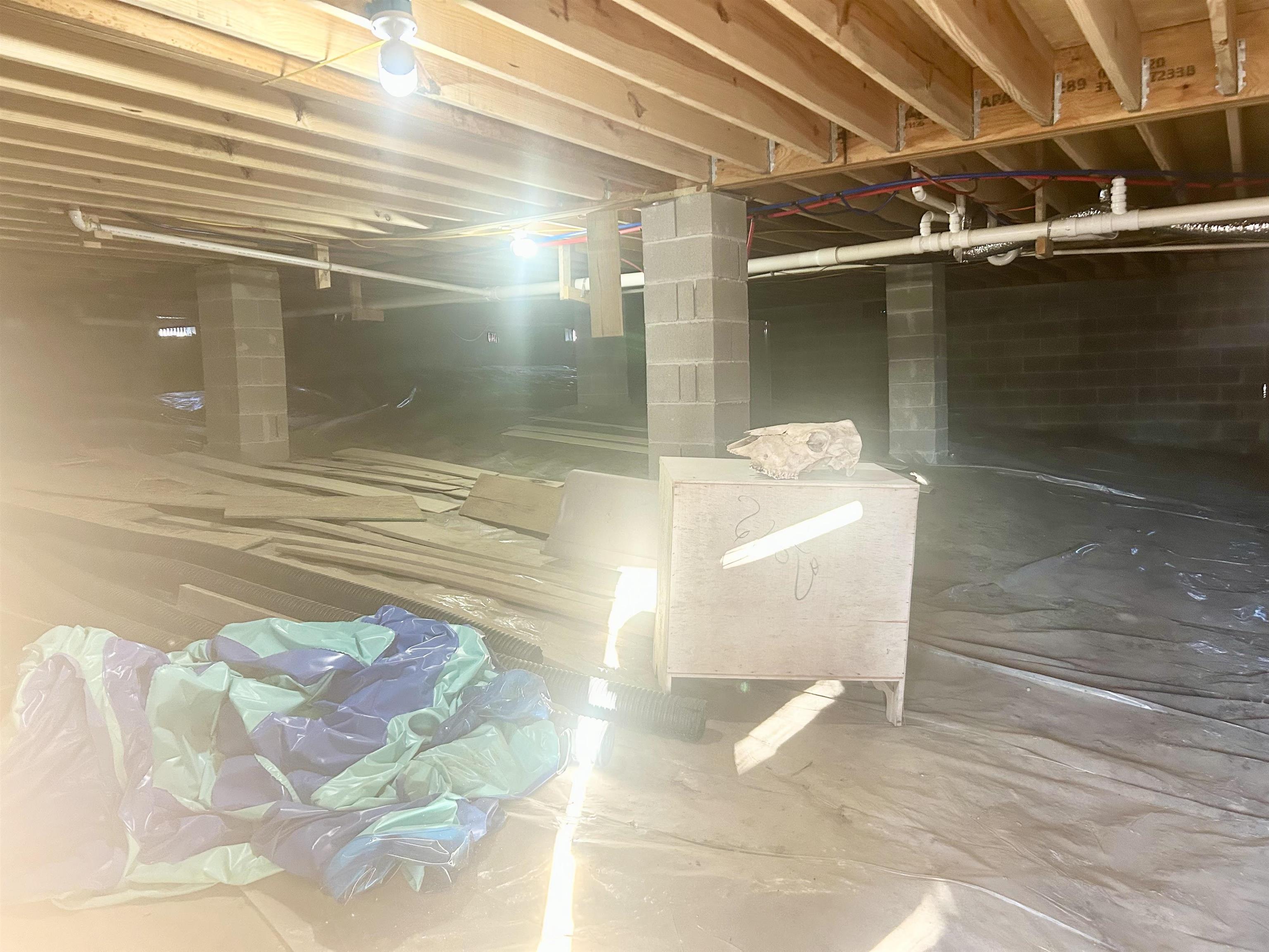 100 Shadow Brook Circle Counce, TN 38326 - Photo 17 of 39 Inside Walk Under crawl space