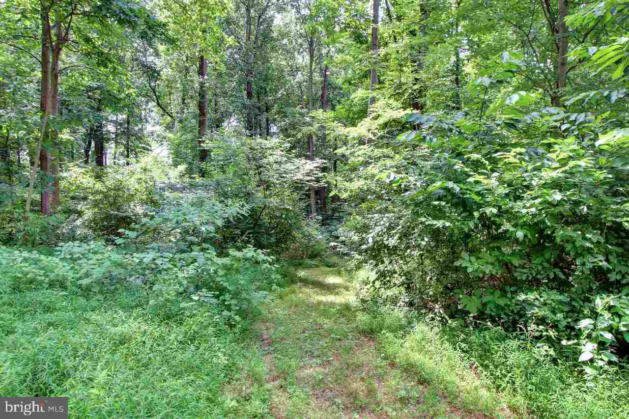 55 Riverview Road West Delta, PA 17314 - Photo 21 of 24 Gallery Image 21