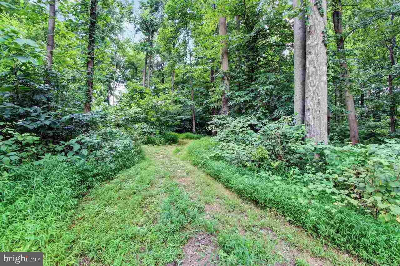 55 Riverview Road West Delta, PA 17314 - Photo 23 of 24 Gallery Image 23